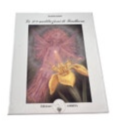 Eileen Caddy Le 108 Meditation Card Set Findhorn Italy In Italian Language Prayers