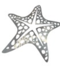 Large Steel Wall Art Starfish Saltwater Ocean Coastal Decor Beach Signed