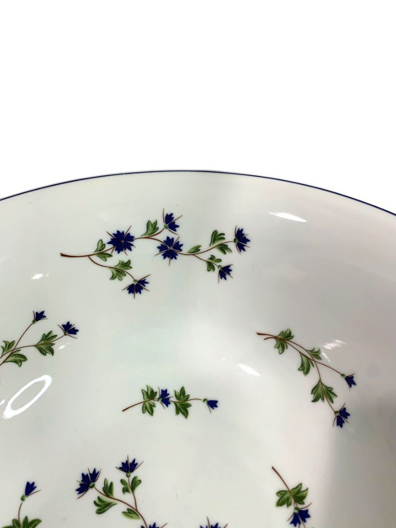 Barbeau by Pillivuyt Centerpiece Serving Bowl Blue Cornflower French Pottery 13"