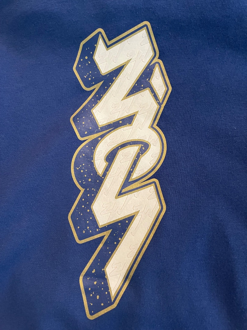 Large (12-13 Years) Air Jordan Nike Zion Pullover Hoodie Blue Youth