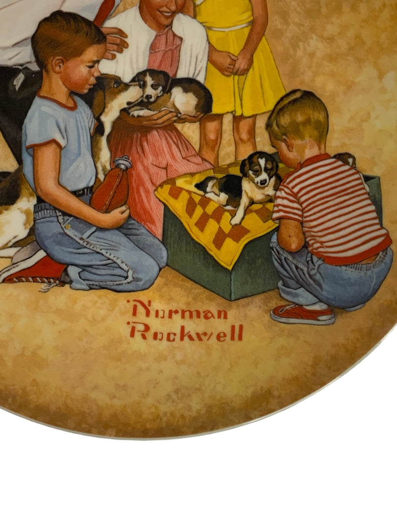 1979 "New Arrivals" Norman Rockwell Decorative Plate First Issue Continental Mint