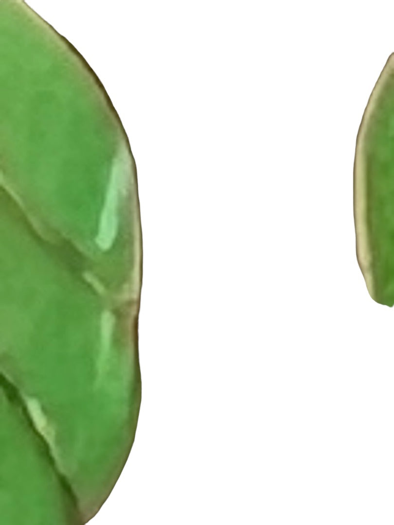 Vintage Goldtone Green Enamel Leaf Shape Post Earrings