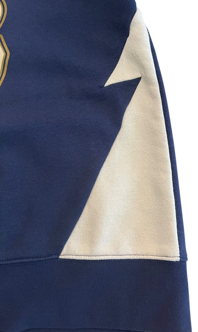 Large (12-13 Years) Air Jordan Nike Zion Pullover Hoodie Blue Youth