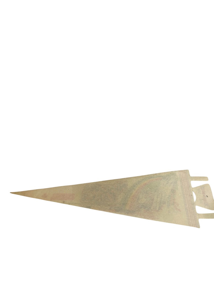 1980s 25 Inch Niagara Falls Pennant Souvenir Felt Flag Canada Rainbow
