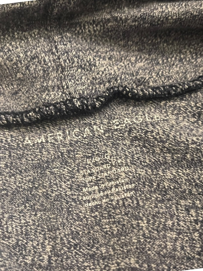 Large American Eagle Outfitters Standard Fit Cotton Long Sleeve Hoodie Blue