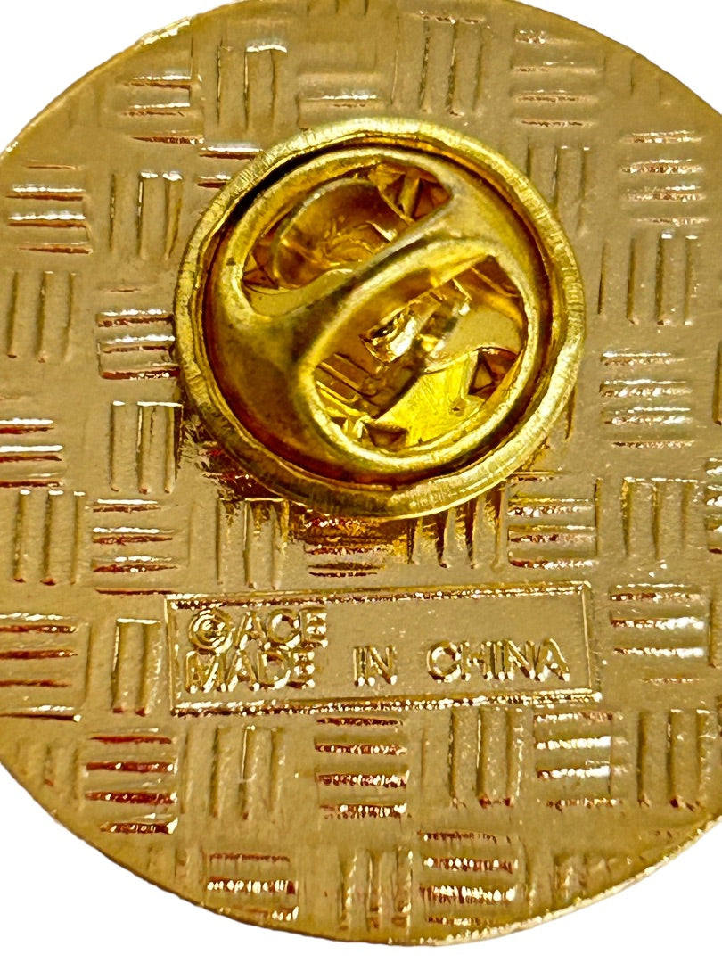 Souvenir Lapel Pin Denali National Park Alaska Resin 1" Diameter