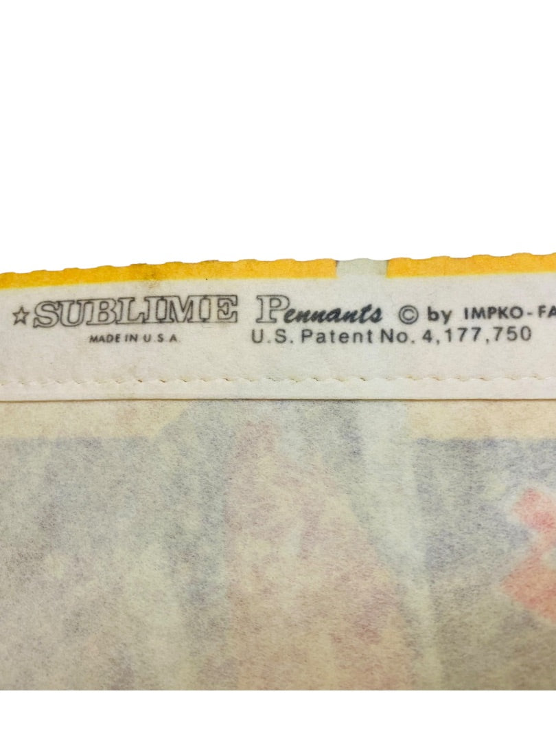 Vintage 29.5 Inch Dutch Wonderland Pennant Souvenir Felt Flag Lancaster PA