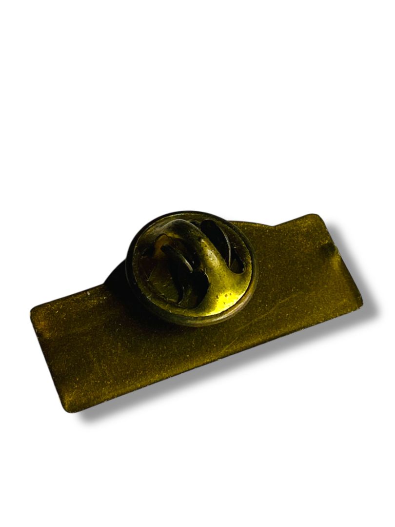 Vintage Gulf Coast Plastic Lapel Pin Goldtone Mississippi Gulfport Biloxi 1.2"