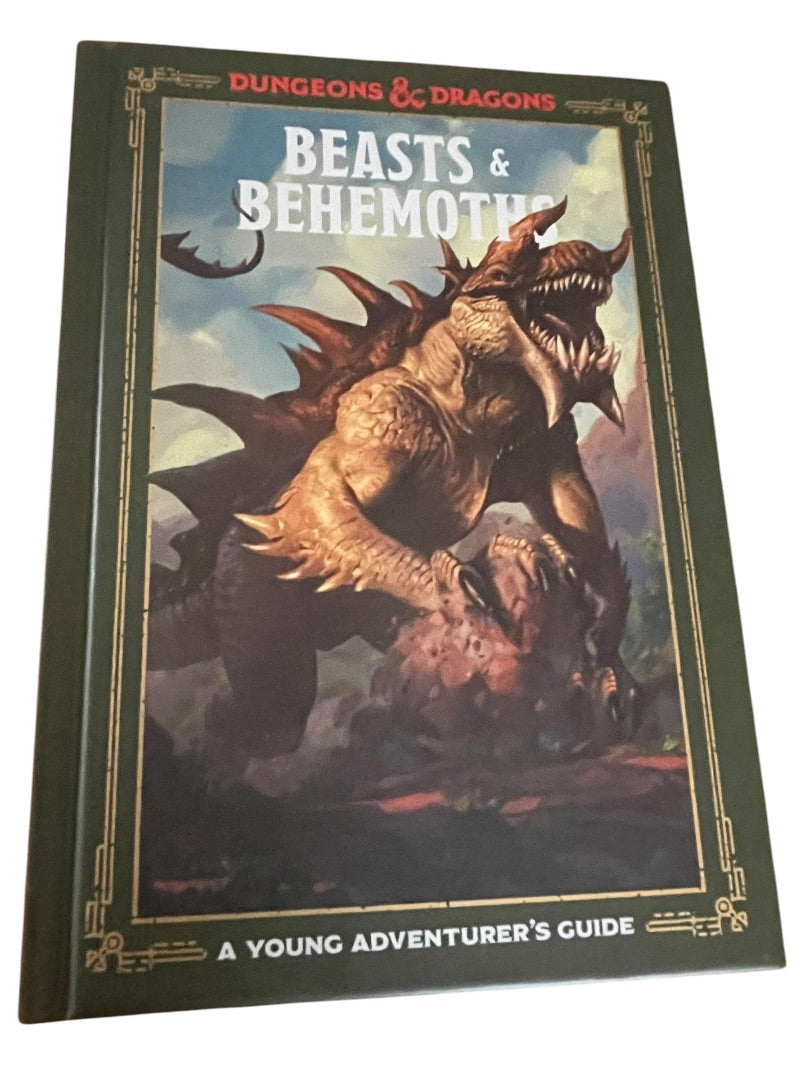 Set of 4 Dungeonos & Dragons Hardcover Books A Young Adventurer's Guide
