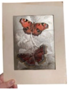 Metallic Foil Print Dufex Prints Peacock Butterfly Made In England