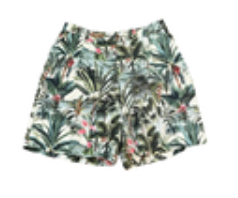 J. McLaughlin Womens Size 8 Bermuda Shorts Tropical Palms Green Pleated NWT