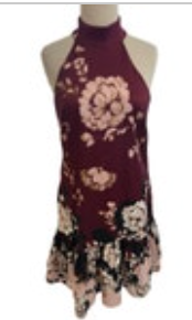 Belle by Badgley Mischka Dress Odette Floral Sleeveless Size 2 Burgundy NWT