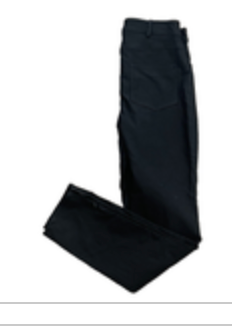 Frank Lyman Montreal Design Collection Fitted Stretch Pants Size 4 Ankle Zipper