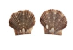 Authentic Seashell Earrings Handmade Natural Post Beach Coastal