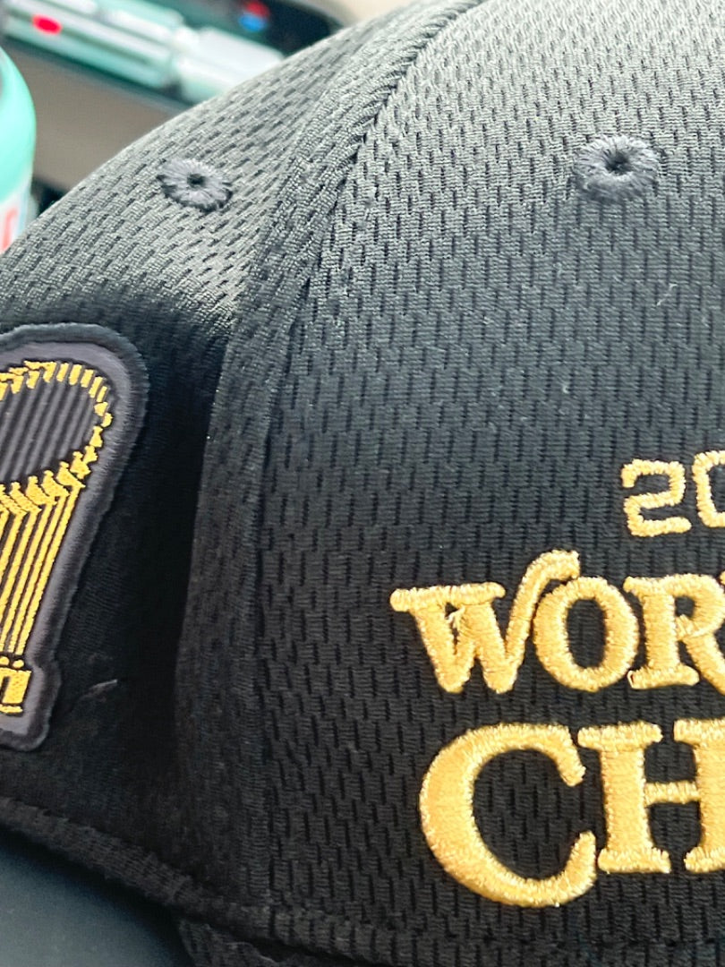 MLB Washington Nationals 2019 World Series Champions New Era Cap 39THIRTY Hat