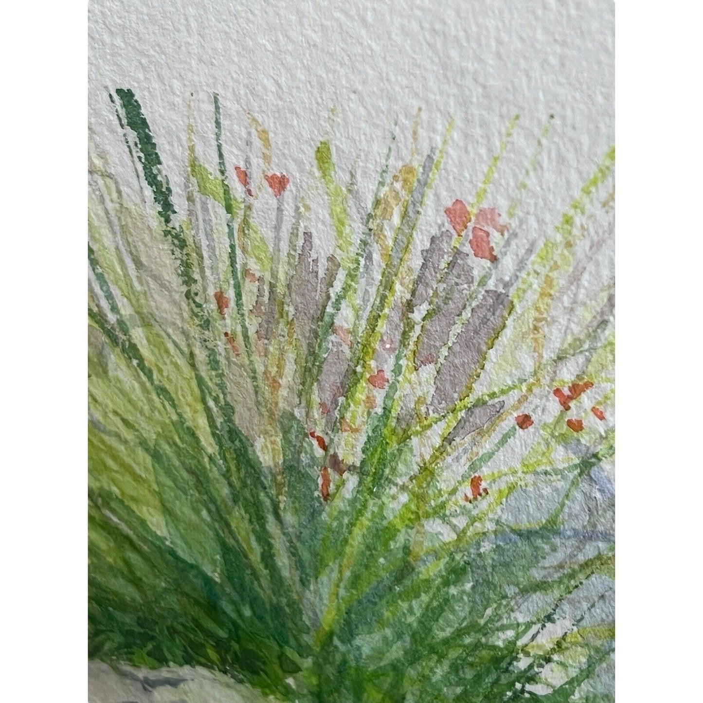 Signed Original Watercolor Painting Framed Zen Landscape Garden Rock Flowers