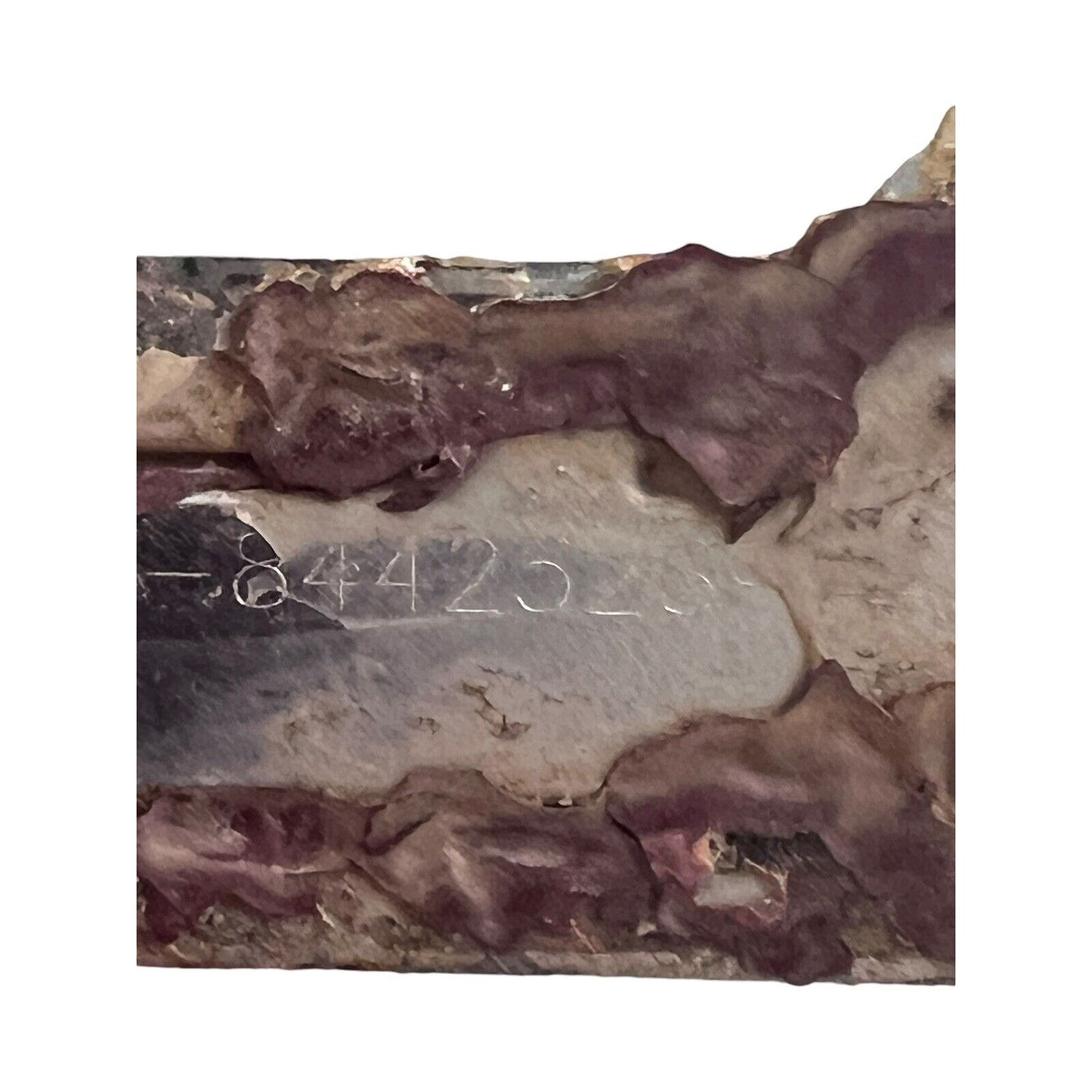 Ford F-150 Super Crew Pickup Emblem YL-34-8442528 Used Broken Mounts