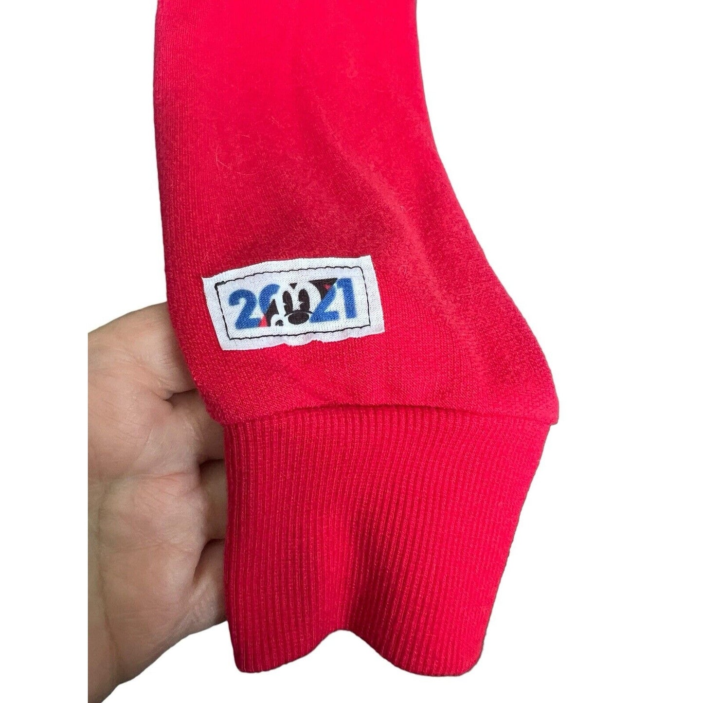 Size L Walt Disney World Mickey Mouse 2021 Pullover Gray Blue & Red Sweatshirt