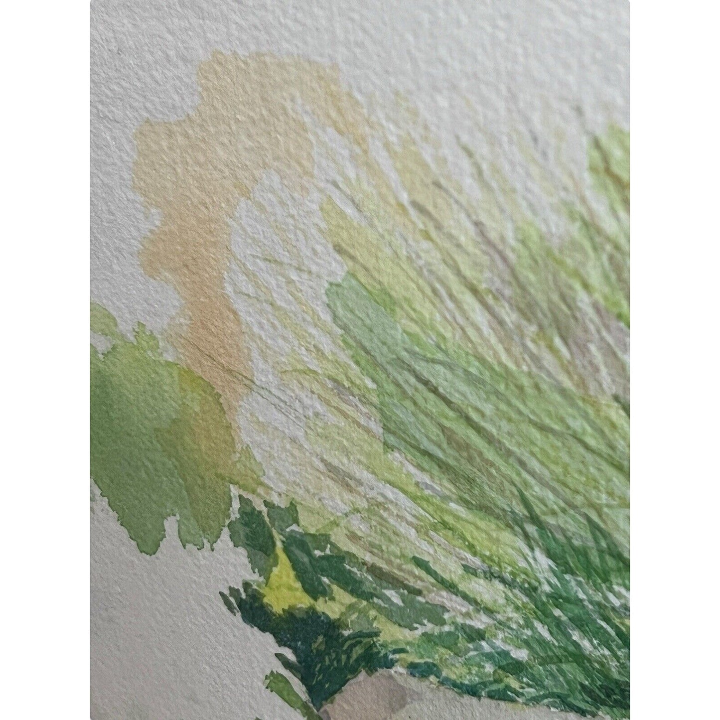 Signed Original Watercolor Painting Framed Zen Landscape Garden Rock Flowers