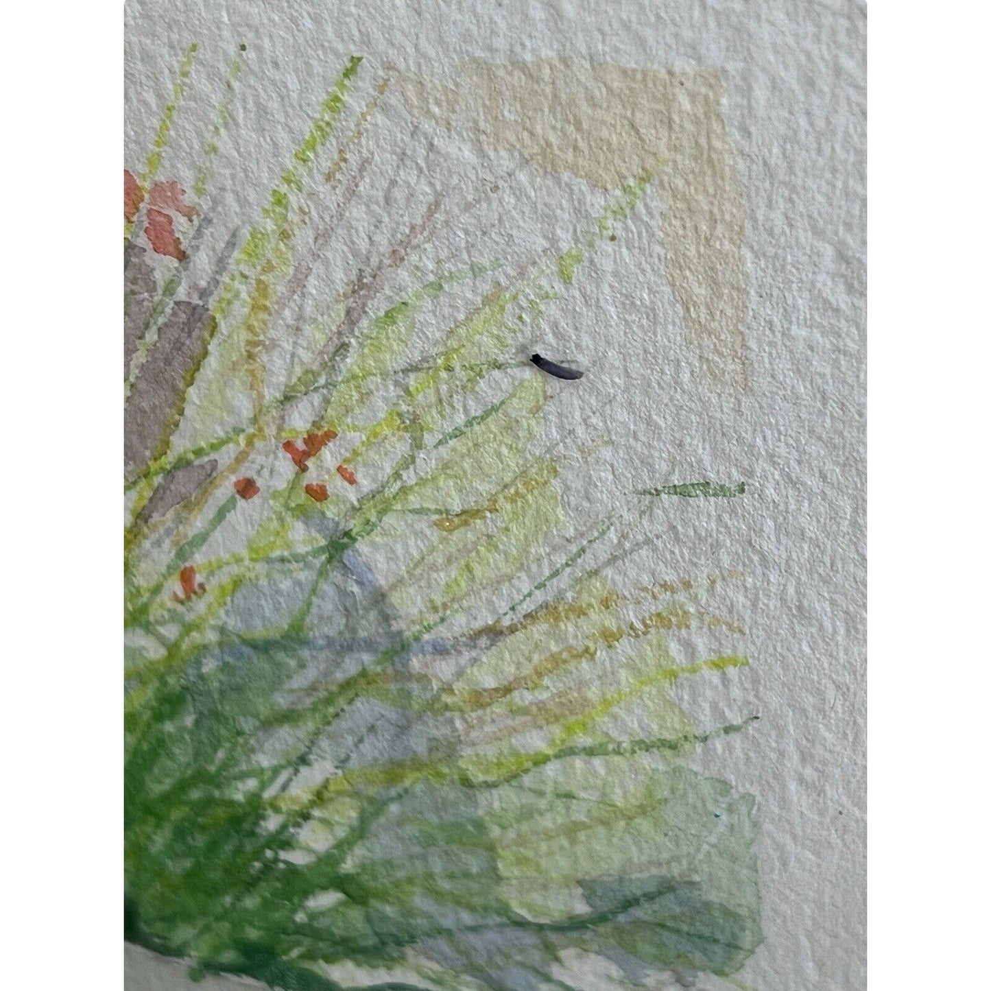 Signed Original Watercolor Painting Framed Zen Landscape Garden Rock Flowers