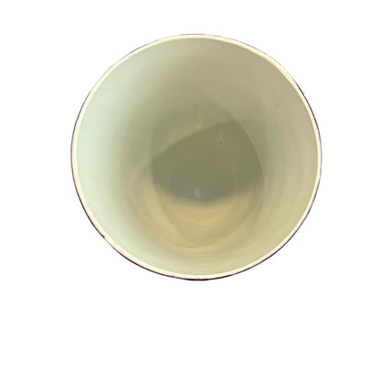 Vintage Skeleton Skull Plastic Wine Goblet Halloween Bones Cup Glass Glasses