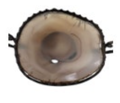 Ornate Agate Footed Bowl With Leaf Handles Stone Metal Vintage Candy Dish