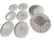 Vintage 60’s Otagiri Japan Golden Mist Trees Lacquer Coaster Set Lid Container