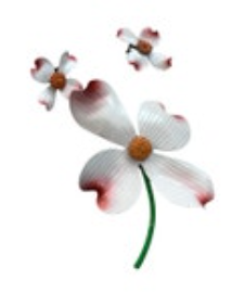 Vintage Enamel Dogwood Pin Brooch & Clip On Earrings Spring Flowers