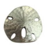 Silver Tone Sand Dollar Beach Brooch Pin Metal Coastal
