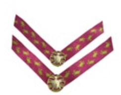 Linday Phillips SwitchFlops Medium Straps Pink Turtle Print Dee EUC