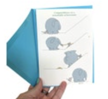 Vintage Boynton Congratulations Success Greeting Card Elephant Mouse