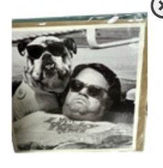 Santoro Graphics Humor Bulldog Dog Greeting Card Square New “spot The Difference