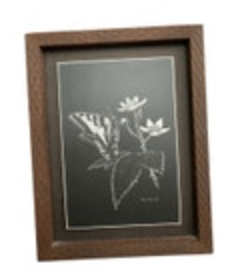 Ken Smith Artwork Drawing Scratchboard Butterfly Flower Art Framed 6.25” X 5”