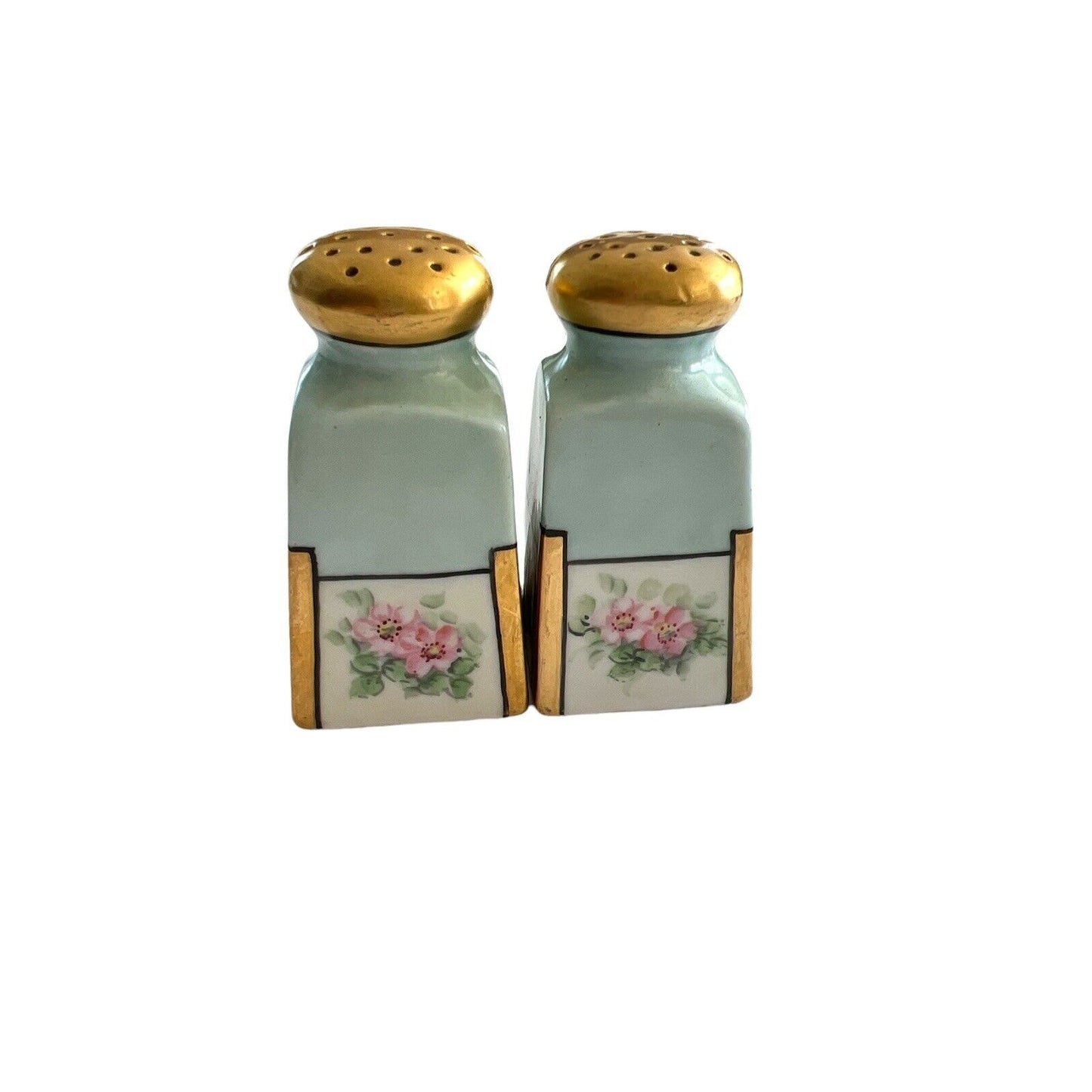 Vintage Bavarian ? Salt And Pepper Hand Painted Floral Gold Shakers EUC
