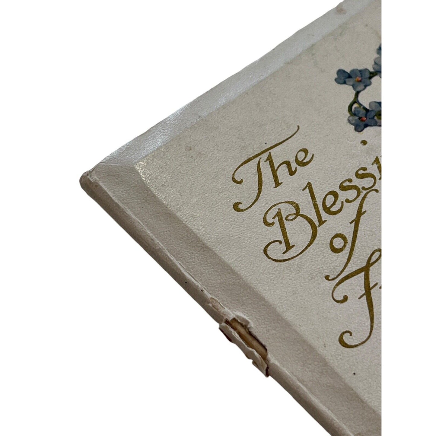 The Blessings of Friendship Vintage Poem Book USA Cottage Granny Friends
