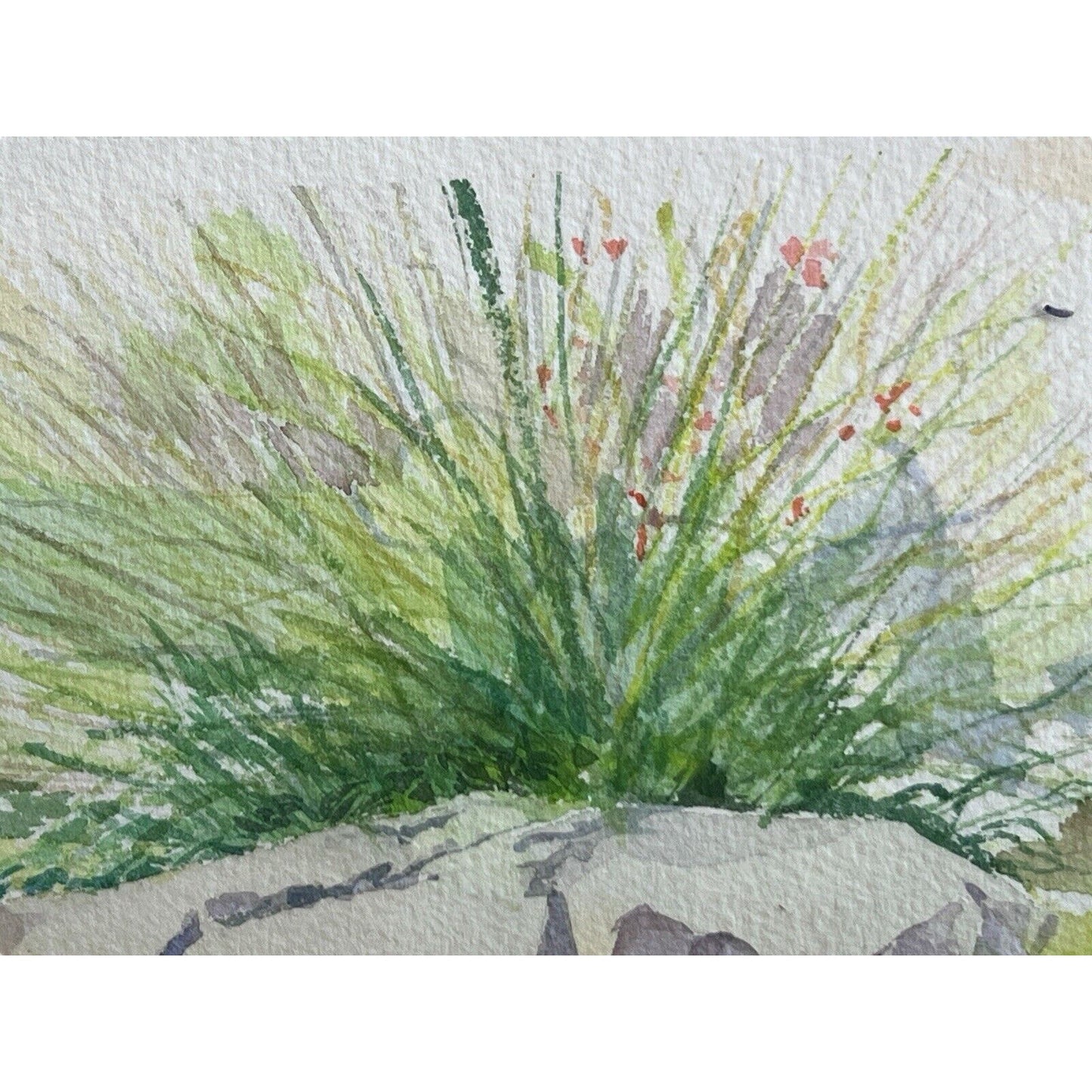 Signed Original Watercolor Painting Framed Zen Landscape Garden Rock Flowers