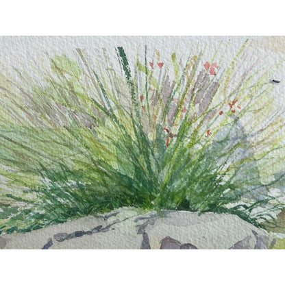 Signed Original Watercolor Painting Framed Zen Landscape Garden Rock Flowers