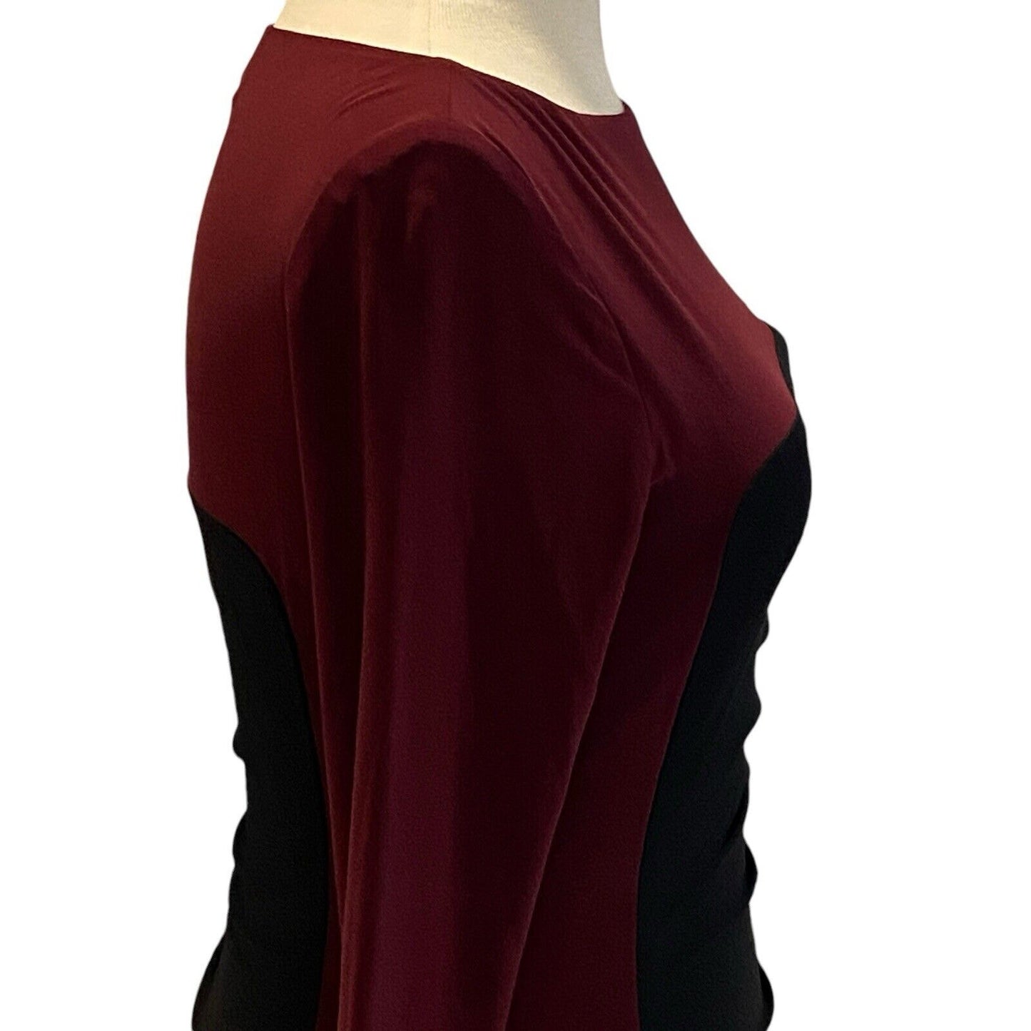 Size 4 Ralph Lauren Dress Black Garnet Color Block Slinky Ruched NWT