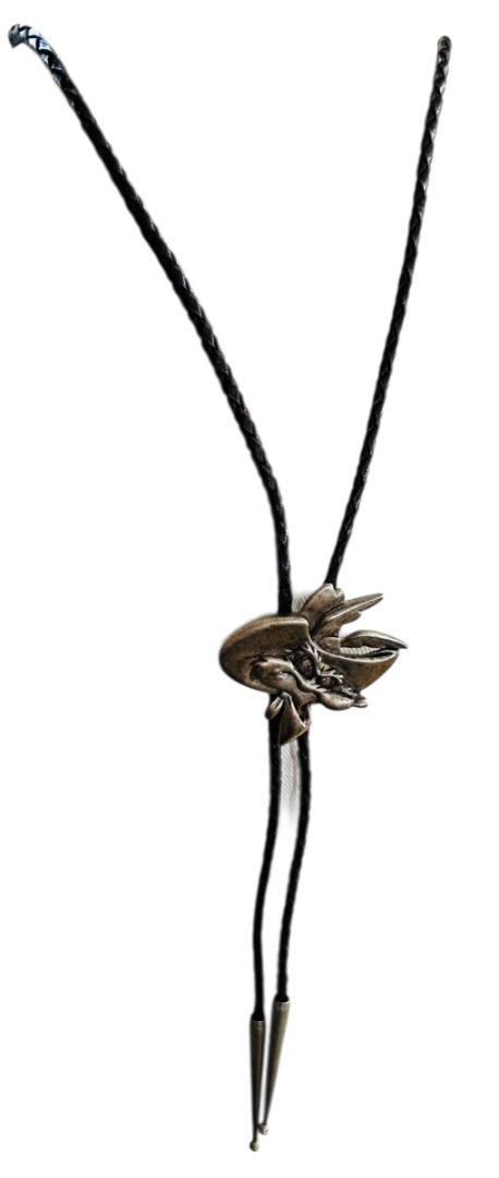 1994 Warner Brothers Bolo Tie Necklace Wile E. Coyote Looney Tunes Adjustable