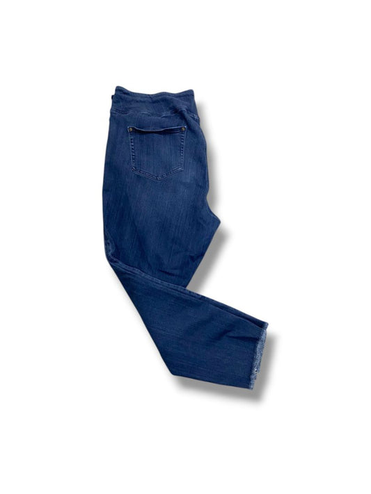 22WP Belle Kim Gravel Petite Womens Plus Size Jeggings Raw Hem Pull On Jeans