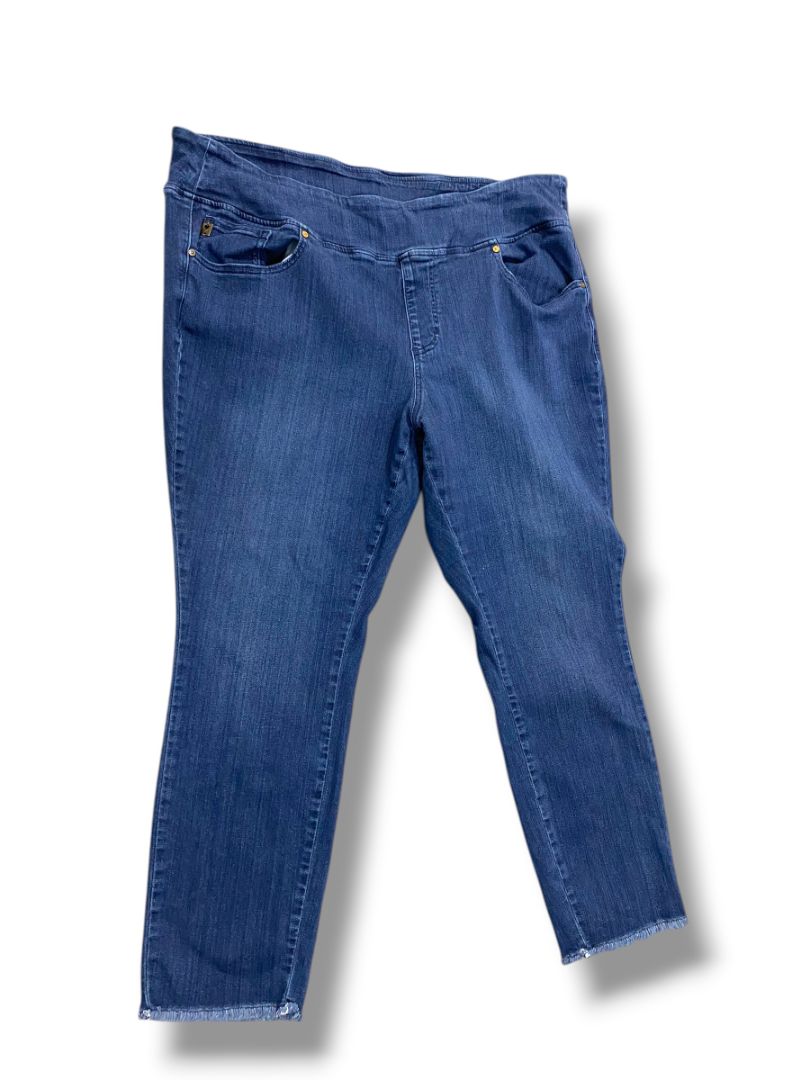 22WP Belle Kim Gravel Petite Womens Plus Size Jeggings Raw Hem Pull On Jeans