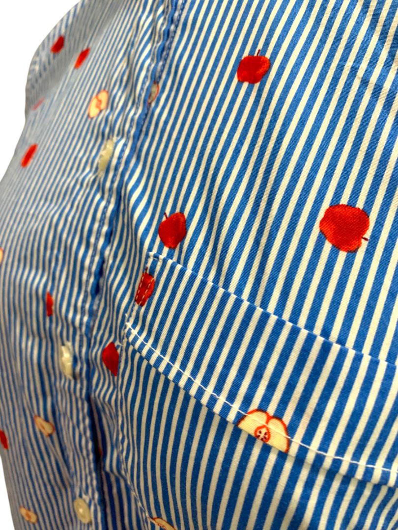 Size XS J.Crew Womens Cotton Poplin Button Up Shirt Apple Print Striped BK577