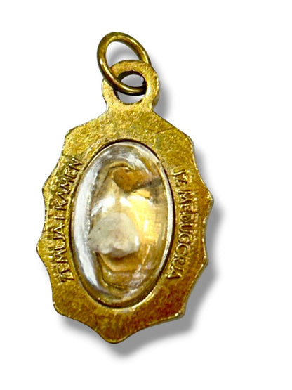 Vintage Our Lady of Medjugorje Religious Mustard Seed Pendant and Pin