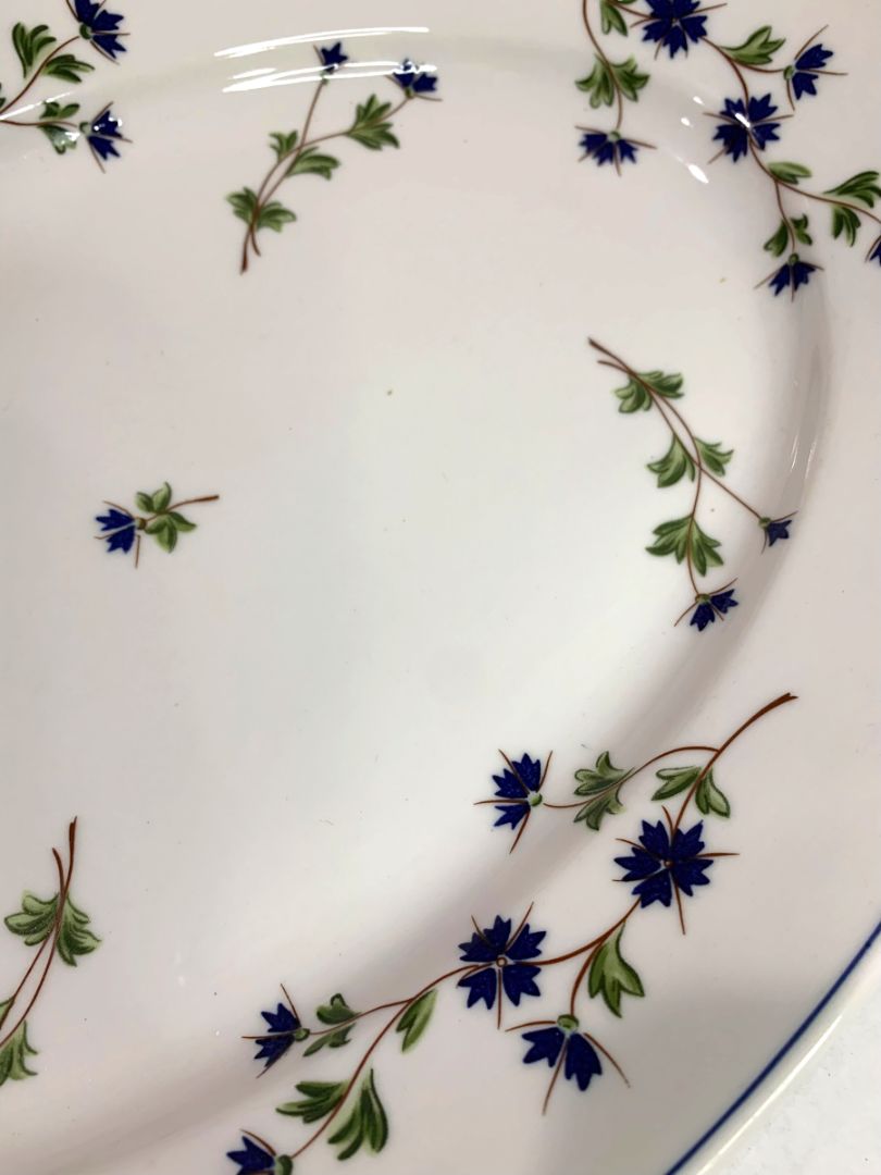 Barbeau by Pillivuyt Oval Serving Platter Blue Cornflower French Pottery 14.5"