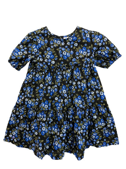 4T Baby Gap Toddler Floral Puff Sleeve Dress Blue Cotton