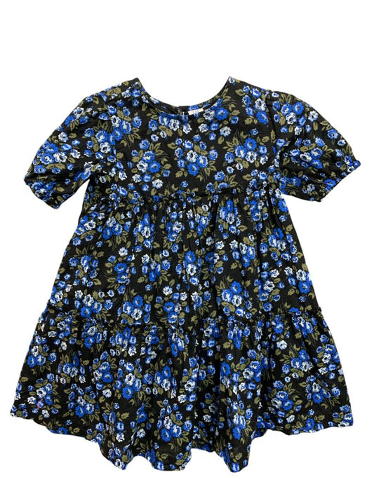 4T Baby Gap Toddler Floral Puff Sleeve Dress Blue Cotton