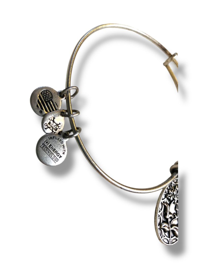 Alex + Ani Silvertone Adjustable Bangle Bracelet Sister Charms