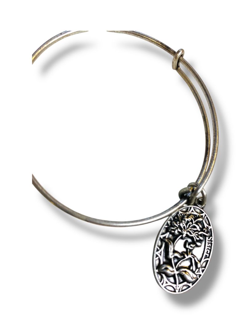 Alex + Ani Silvertone Adjustable Bangle Bracelet Sister Charms