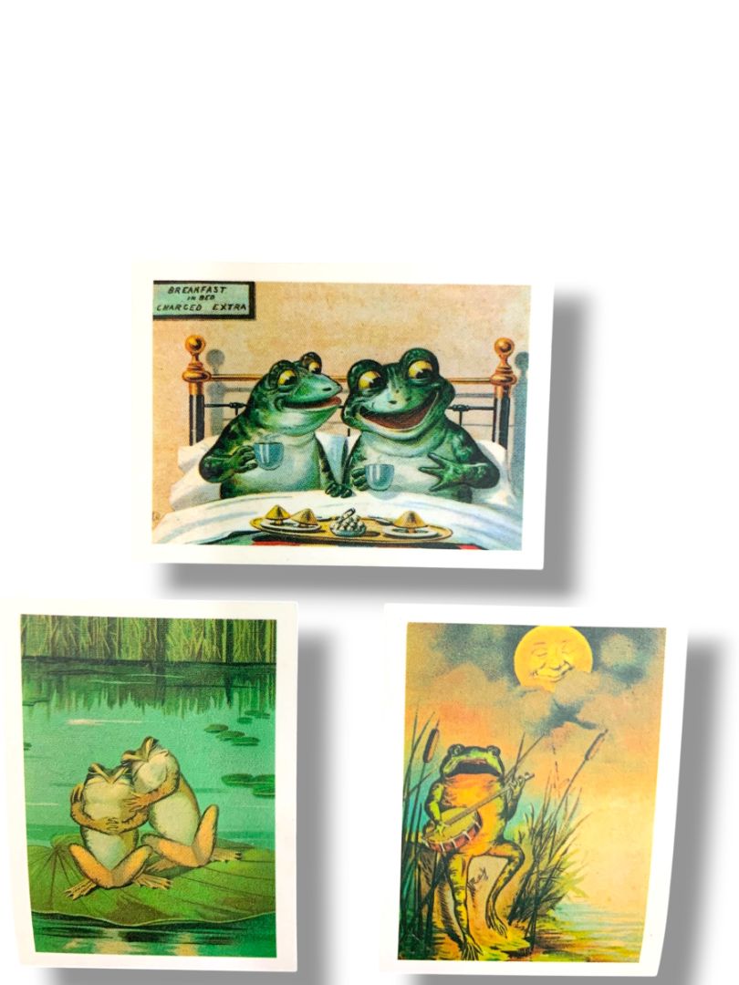 6 Greeting Cards with Envelopes The Lora Verner Collection of  Frogs Gift Pack