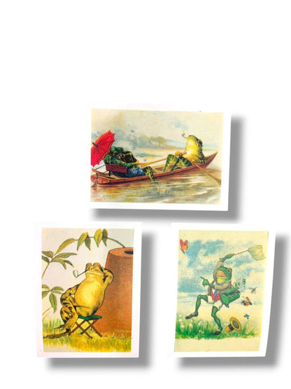 6 Greeting Cards with Envelopes The Lora Verner Collection of  Frogs Gift Pack
